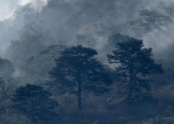Controlan incendio forestal en volcán Ixtepeque
