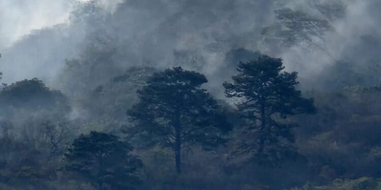 Controlan incendio forestal en volcán Ixtepeque