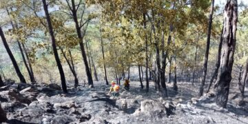 Destacan labor de equipos en liquidación de incendio en Monjas