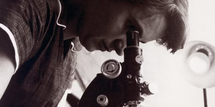 Nuevos documentos dan a Rosalind Franklin un papel activo en el ADN