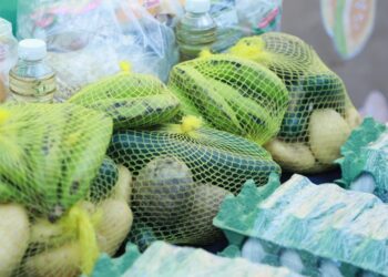 Alimentación escolar llegará a 3.1 millones de estudiantes. /Foto: Mineduc