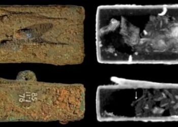Descubren los secretos de ataúdes de animales momificados en Egipto