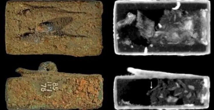 Descubren los secretos de ataúdes de animales momificados en Egipto