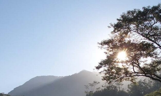Se espera un ambiente cálido y soleado para este día