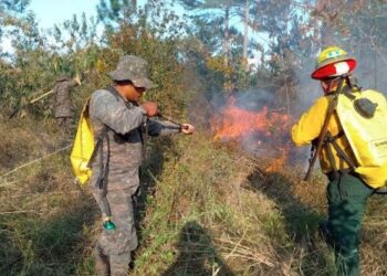 Ejército de Guatemala ayuda en el combate a incendios forestales. /Foto: Ejército de Guatemala