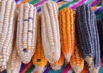 Tradiciones locales marcan la Resurrección de Cristo