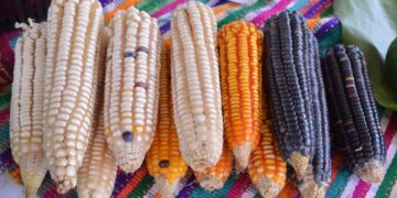 Tradiciones locales marcan la Resurrección de Cristo