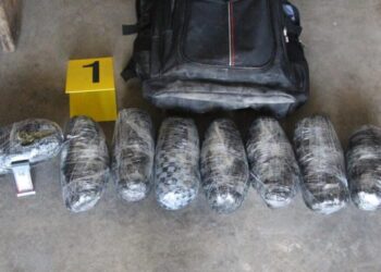 PNC sigue con incautación de éxtasis y marihuana en el país