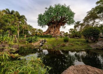 Parque Animal Kingdom de Disney cumple 25 años y lo celebra con donaciones