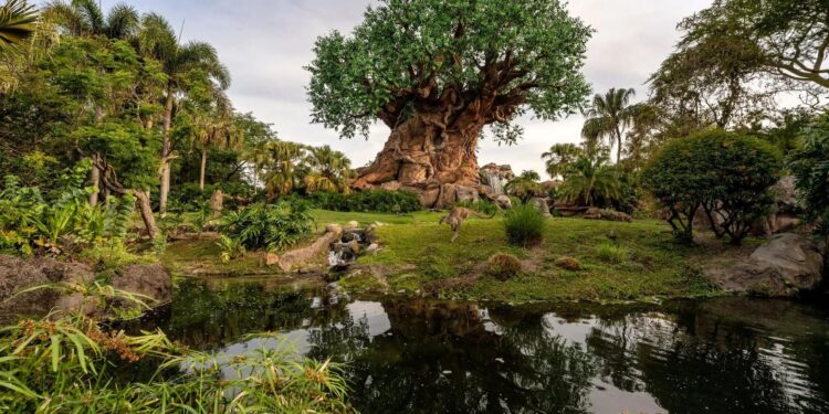 Parque Animal Kingdom de Disney cumple 25 años y lo celebra con donaciones