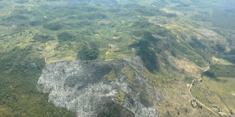 Fuerza Aérea apoya en combate de incendios forestales en Petén