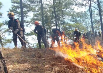 Ejército ha brindado apoyo en el sofocamiento de 67 incendios forestales
