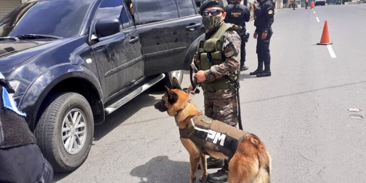 Oficializan Centro de Adiestramiento de Unidades Humano-Caninas