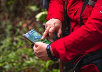 Promueven la observación y cuidado de las aves a nivel nacional