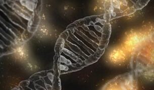 La diversidad humana entra en un nuevo borrador del genoma