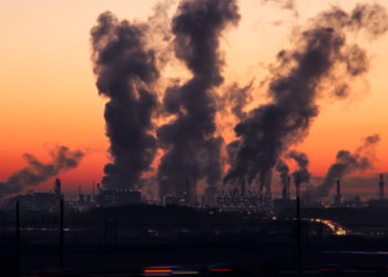 El Papa pide terminar con los “pecados ecológicos”