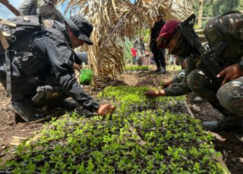 Mindef comparte resultados del trabajo realizado del 2020 al 2023