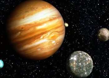 Juice, la acróbata de seis toneladas