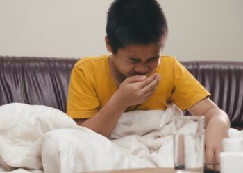 La forma de la nariz humana, una herencia neandertal