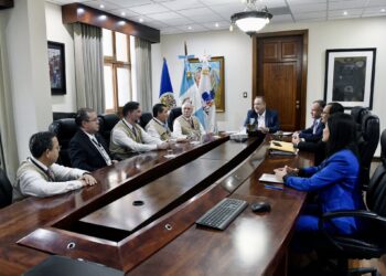 Presidente se reúne con misión de observadores electorales de la OEA