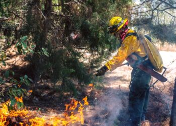 Reconocen labor de los bomberos forestales de Guatemala