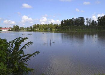 WWF advierte del riesgo de extinción de nuevas especies en Sudeste Asiático