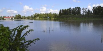 WWF advierte del riesgo de extinción de nuevas especies en Sudeste Asiático