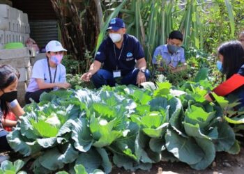 Servidores cívicos están listos para ser líderes ambientales