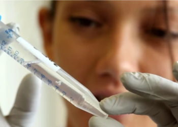 Encuentran ADN humano en casi todas partes del mundo.