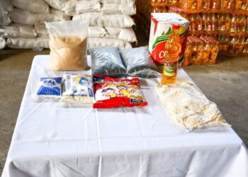 Entregan Alimentos por Acciones a familias de Santa Rosa