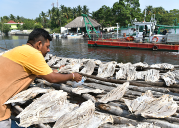 Pescadores de Escuintla podrán mejorar su productividad. /Foto: Álvaro Interiano