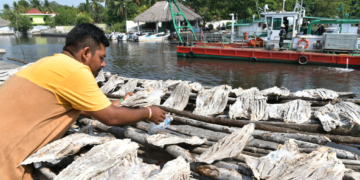 Pescadores de Escuintla podrán mejorar su productividad. /Foto: Álvaro Interiano