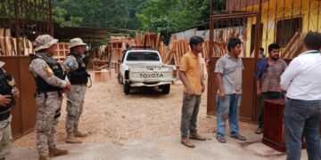 Verifican cumplimiento de normativa forestal en San Marcos