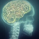 La desigualdad de género estaría afectando los cerebros