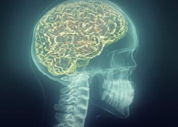 La desigualdad de género podría estar afectando los cerebros.