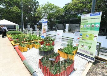 Huerto escolar pedagógico en sede del Mineduc. /Foto: Carlos Jacinto