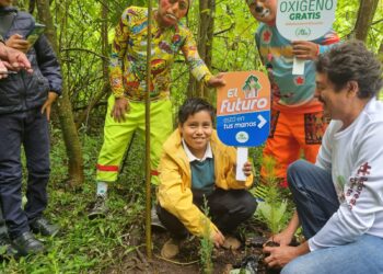Alta Verapaz promueve la cultura forestal a través del programa Sembrando Huella