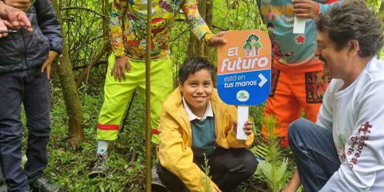 Alta Verapaz promueve la cultura forestal a través del programa Sembrando Huella