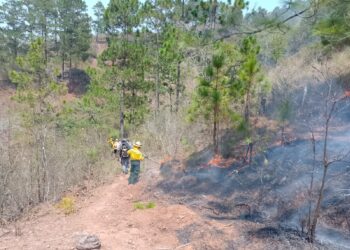 Sofocan incendio forestal en San Pedro Pinula, Jalapa