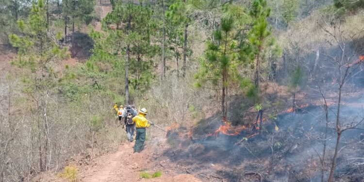 Sofocan incendio forestal en San Pedro Pinula, Jalapa