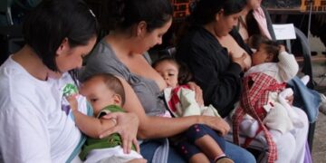 Ácido graso de leche materna es esencial para activar el corazón del neonato