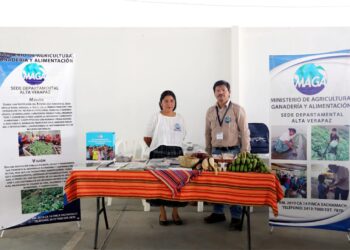 Promueven proyectos de apoyo agrícola a la población altaverapacense