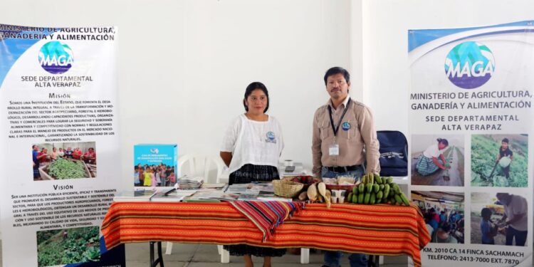 Promueven proyectos de apoyo agrícola a la población altaverapacense