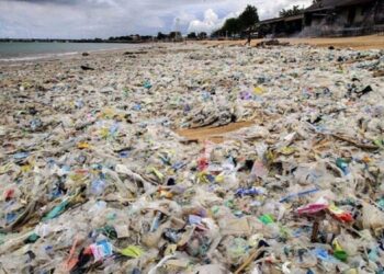 Reunión de alto nivel en París para limitar contaminación por plásticos
