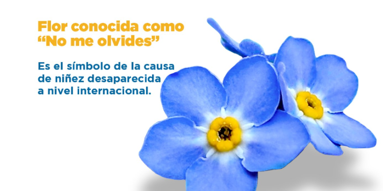 25 de mayo: Día de los Niños Desaparecidos.