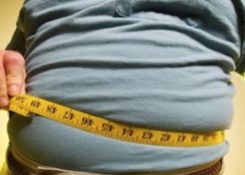 Investigación abre vía a nuevas terapias contra la obesidad