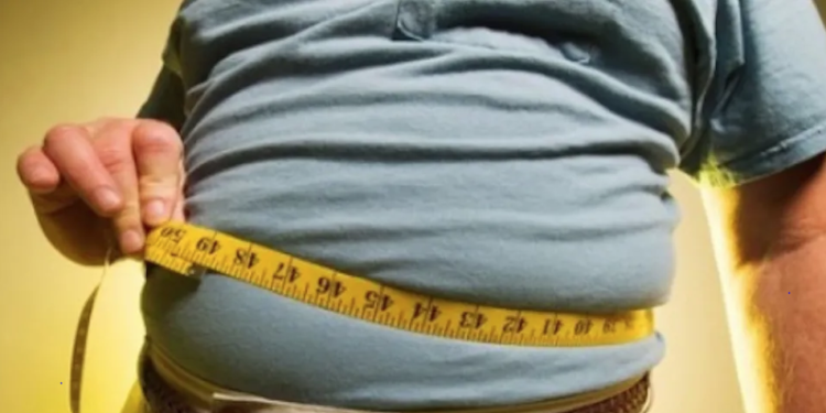 Investigación abre vía a nuevas terapias contra la obesidad