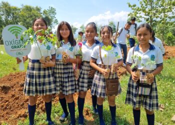 Prevén sembrar más de 7 mil árboles en Alta Verapaz