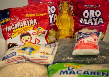 Raciones de alimentos contienen lo necesario para una buena alimentación familiar. /Foto: Álvaro Interiano.