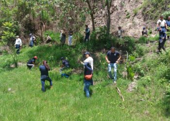Lanzan campaña Reforestando Atitlán para un Futuro Verde